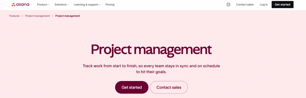 Asana Screenshot